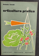 Orticoltura Pratica - A. Turchi - Ed. Agricole Bologna - 1962                                                            - Jardinage
