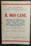 Il Mio Cane - P. A. Pesce - 1952                                                                                         - Animaux De Compagnie