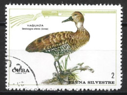 Cuba 1970. Scott #1558 (U) Wildlife, Dendrocygna Arborea - Gebraucht