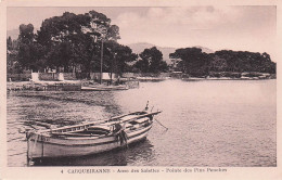 Carqueiranne - Anse Des Salettes - Pointe Des Pins Penches - CPA °J - Carqueiranne