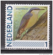 Netherlands Nederland Niederlande Pays Bas Holanda MNH; Boomklever Nuthatch Sittelle Porchepot Vogel Bird Ave Oiseau - Picchio & Uccelli Scalatori