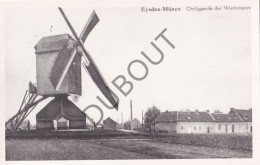 Postkaart/Carte Postale - Eisden-Mijnen - Molen (C4279) - Maasmechelen