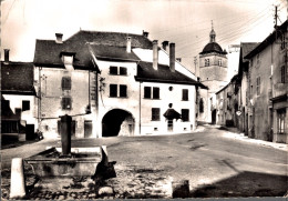 39 - ORGELET / LA MAISON DU PORTAIL ET LA VIEILLE FONTAINE - Orgelet