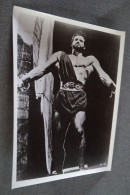 RARE,Steve Reeves, Grande Photo Originale Pour Le Cinéma,25,5 Cm. Sur 20,5 Cm. - Photographs