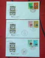 United Nations  FDC,1982 Natural Environment Protection，3 Covers - FDC