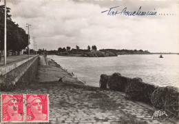 Ancenis * Les Quais Et La Loire - Ancenis