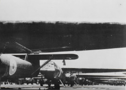 Photo Repro. - En Angleterre Formidable Concentration De Planeurs Préparés Pour Soutenir Le Débarquement - TBE - Luchtvaart