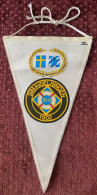 SWEDEN ,SIMAVDELNINGEN 1902 PENNANTS - Nuoto