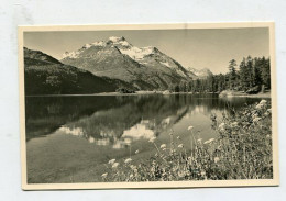 AK 139372 SWITZERLAND - Sils Im Engadin - Blick Von Chasté Auf Piz Della Margna - Sils Im Engadin/Segl