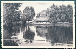 (6264) Donk - Zicht Op Het Meer -  Overmere - Berlare