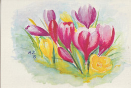 Carte Depliante Tressée Reproduction D'une Aquarelle Peintre Avec La Bouche ( Impetueux Crocus ) De HERBERT ZABRANSKY - Watercolours