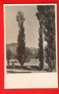 ZVH-27  Riehen  Foto-Karte. Gelaufen 1923 Feldpost  - Riehen