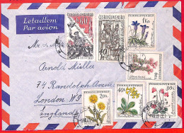 Aa0623 - CZECHOSLOVAKIA - Postal History - AIRMAIL COVER  1961 - Flowers - Covers & Documents