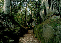 Küssnacht Am Rigi - Hohle Gasse (7998) * 12. 4. 1990 - Küssnacht