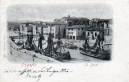 ITALIA - SENIGALLIA - IL Porto, Molto Bella, Animata, Viag.1902 - Fran-2023 - 60 - Senigallia