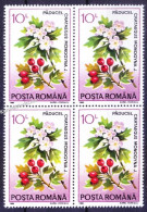 Romania 1993 MNH Blk, Plant Common Hawthorn Medicine To Treat Heart Disease - Plantas Medicinales
