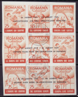 ROMANIA IN EXILE 1960 EUROPA BLOC OF 9  USED  IMPERFORATED - 1960