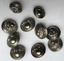 13 Boutons Ancien Militaria - UNIFORME MILITAIRE FRANCE - à La Grenade TW & W Paris - AM & Cie - Supérieure - Boutons