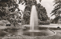 Hesse - Rüsselsheim Am Main  -  Partie Im Stadtpark - Ruesselsheim