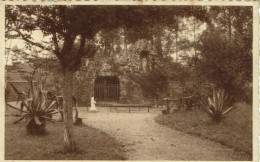 SINT PIETERS LEEUW-ST ANTONIUS GESTICHT-DE GROT-INSTITUT SAINT ANTOINE DE PADOUE GROTTE NOTRE DAME DE LOURDES - Sint-Pieters-Leeuw