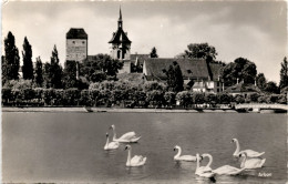 Arbon (258) * 31. 7. 1960 - Arbon