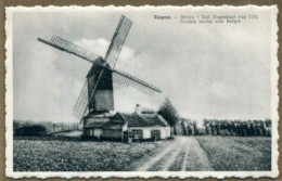 BELGIQUE / BELGIE - Zingem : Molen - Zingem