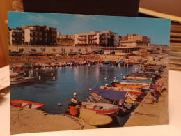 Cartolina Bisceglie Prov Barletta-Andria-Trani , Porticciolo - Bisceglie