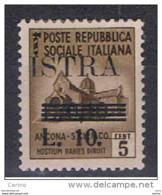 ISTRIA - OCCUPAZIONE  JUGOSLAVA:  1945  SOPRASTAMPATO  -  £. 10/10 C./5 C. BRUNO  L. -  SASS. 39 - Yugoslavian Occ.: Istria