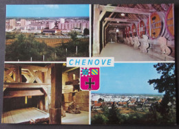 CHENOVE - Nouveaux Quartiers - Caves - Pressoir Et Vue Générale - Chenove