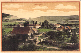 Hardegsen - Panorama Gel.1917 - Hardegsen