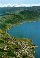 Oberägeri, Flugaufnahme Mit Aegerisee Und Alpen (1564) * 19. 5. 1987 - Oberägeri