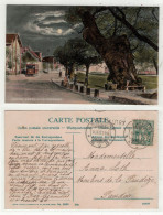 Suisse // Schweiz // Switzerland // Vaud // Lutry, Arbre Avec Fontaine Et Le Tram - Lutry