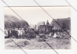 REPRODUCTION D'une Photo Carte - Fenaison, Battage, Agriculture,... à HERSTAL ( Ile Monsin En 1923 ( TOP ) B342 - Herstal