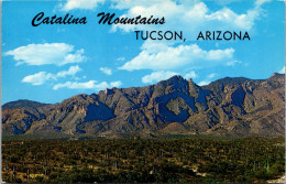 Arizona Tucson The Catalina Mountains  - Tucson