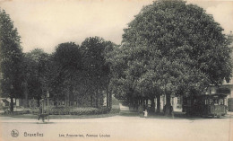 BELGIQUE - Bruxelles - Les Araucarias - Avenue Louise - Tramway - Arbres - Animé - Carte Postale Ancienne - Avenues, Boulevards