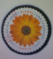 United States, Scott #5680, Used(o), 2022, Global Mail: African Daisy, ($1.30), Yellow And Brown - Oblitérés