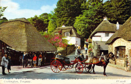 ANGLETERRE - Cockington - Torquay  - Carte Postale Ancienne - Autres & Non Classés