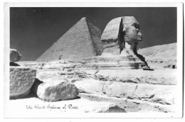 Egypte -   The Great  Sphinx Of Pira - Pyramiden