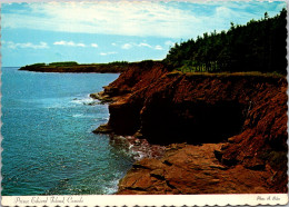 Canada Prince Edward Island Beautiful Coastal View - Other & Unclassified