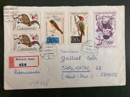 LR TP OISEAU 30h + 60h + CAPRA  IBEX 40h Paire + JO 1964 1 Kcs OBL.6 VII 65 HERMANUV MESTEC - Storia Postale