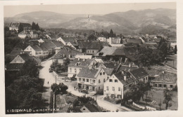 ST504   --  EIBISWAld  --  GUSTAV WIESER  WARENHAus --  REAL PHOTO PC - Eibiswald