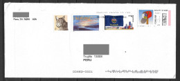 US Cover With Kansas Flag , Mailbox, Oklahoma And Cat Stamp Sent To Peru - Covers & Documents