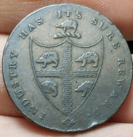 RARE RRR MULE COIN TOKEN 1793 Birmingham (Warwickshire)  Copper Halfpenny Hedgehog Shield Queen's Bays American Edge - Autres & Non Classés