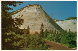 1 AK USA / Utah * Checkerboard Mesa (Schachbrett-Tafelberg) Ein Tafelberg Im Zion National Park * - Zion