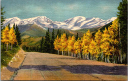 Colorado Autumn In The Rocky Mountains Curteich - Rocky Mountains