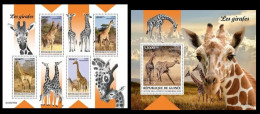 Guinea  2023 Giraffes. (105) OFFICIAL ISSUE - Giraffen