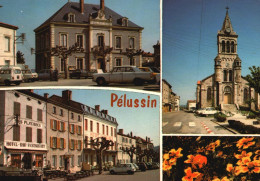 Multivue Pélussin - Pelussin