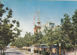 CARTOLINA  FANO,MARCHE-PALACE HOTEL-RISTORANTE "LANTERNA AZZURRA"-STORIA,MEMORIA,RELIGIONE,BELLA ITALIA,NON VIAGGIATA - Fano