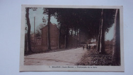 52  ECLARON PROMENADE DE LA GARE - Eclaron Braucourt Sainte Liviere