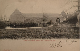 Vise // Ferme De L'ancien Manoir Des Templiers 1900 - Visé